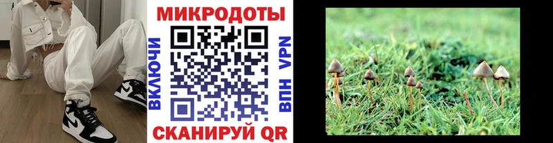 Купить где  Котельниково  Галлюциногенные грибы Cubensis 
