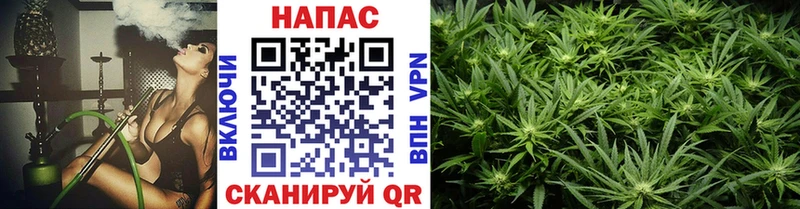 Купить закладки  Котельниково  Марихуана план 
